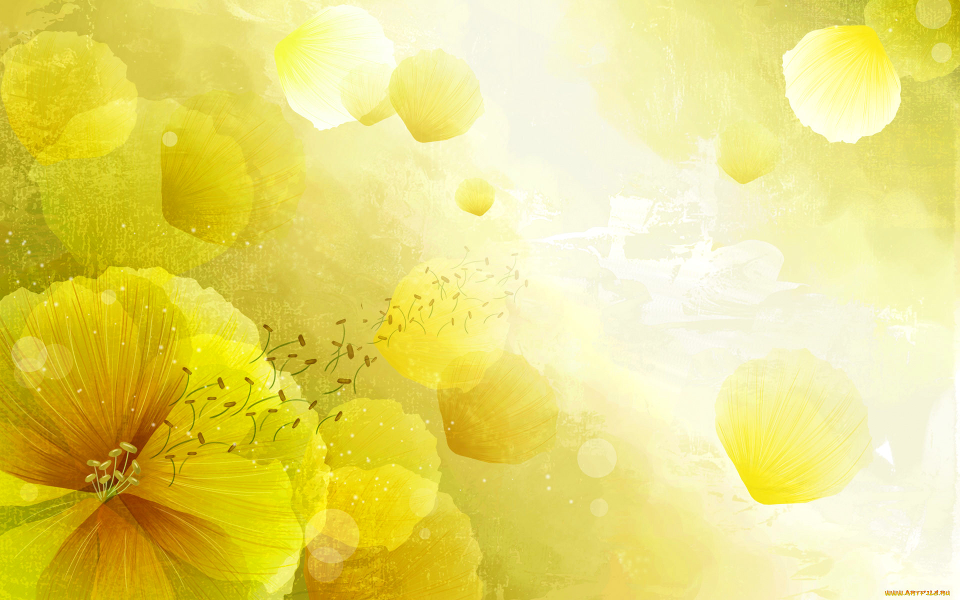  ,  , flowers, , , , , 
